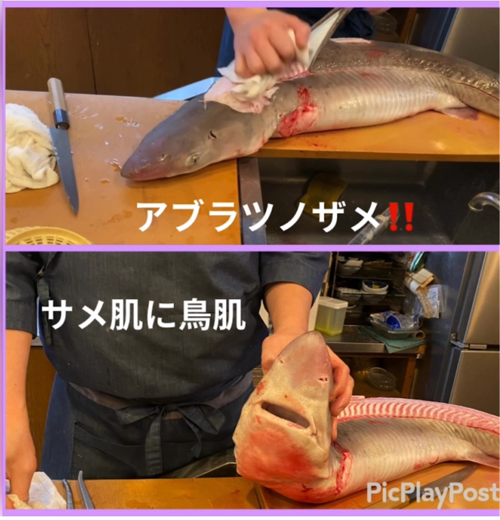 f:id:eigon:20240323222401j:image