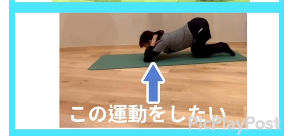 f:id:eigon:20250131115924j:image f:id:eigon:20250131115924j:image