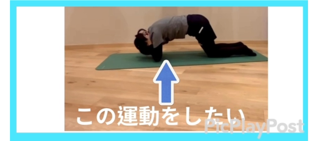 f:id:eigon:20250131115944j:image f:id:eigon:20250131115944j:image