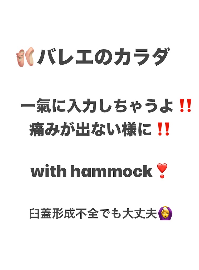 f:id:eigon:20250220095434j:image