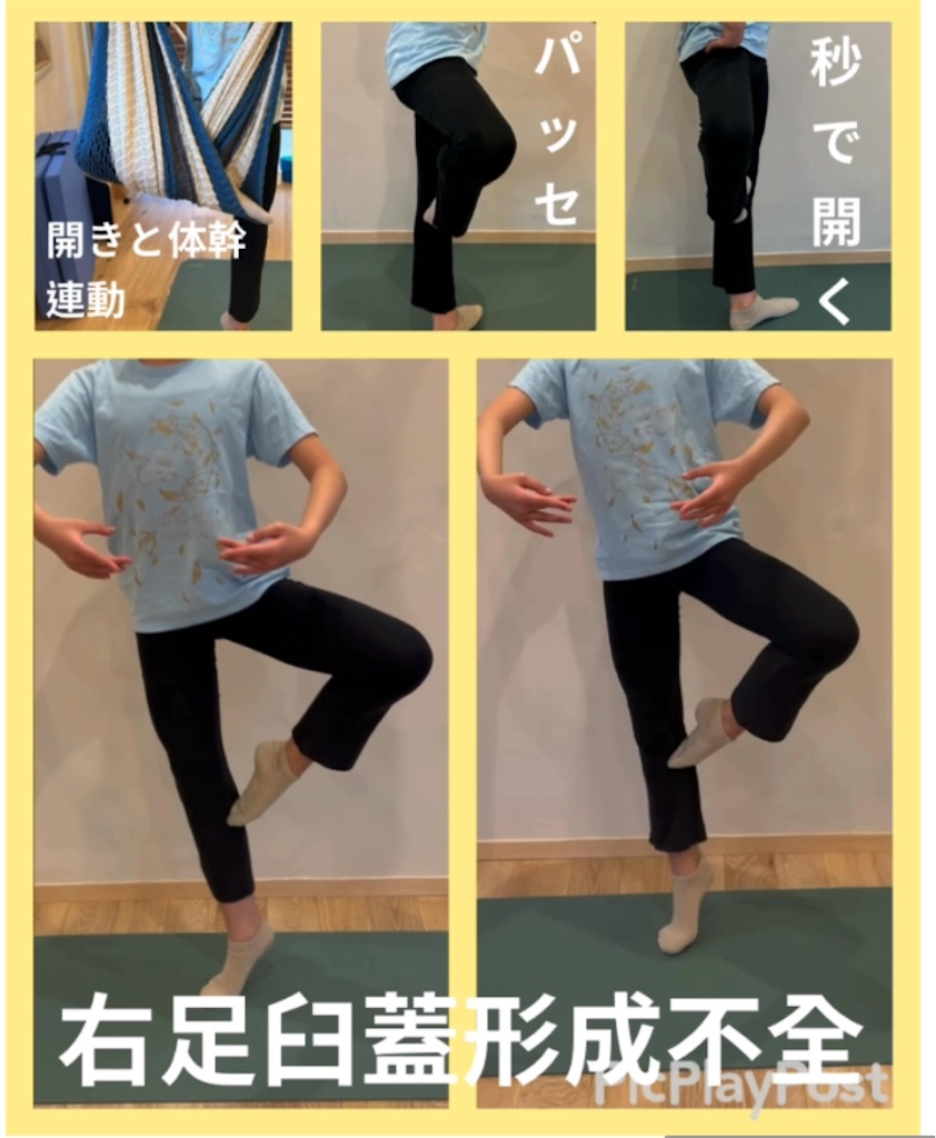 f:id:eigon:20250220095441j:image