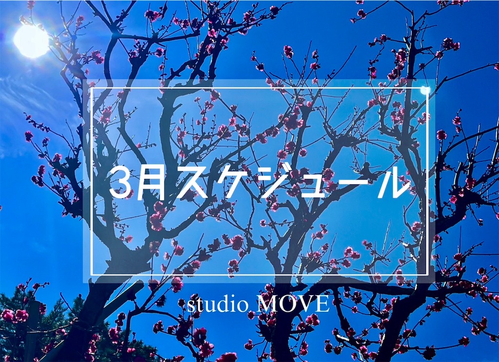 f:id:eigon:20250225103816j:image