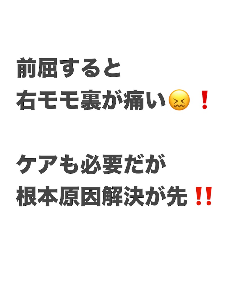 f:id:eigon:20250317110936j:image