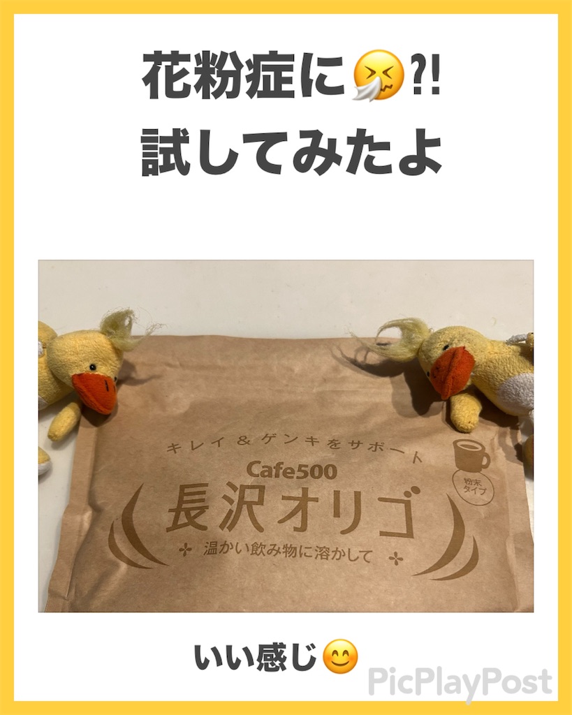 f:id:eigon:20250408125815j:image