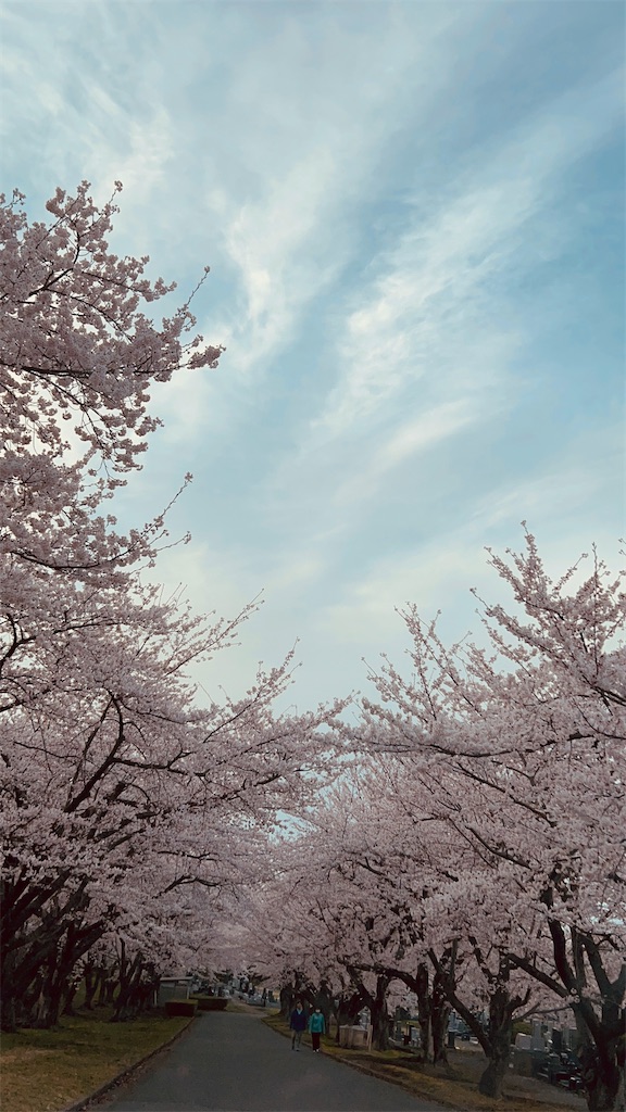 f:id:eigon:20250419185205j:image