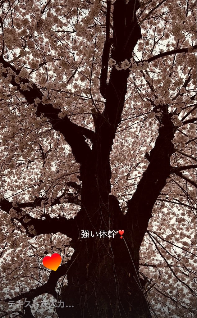 f:id:eigon:20250420102556j:image