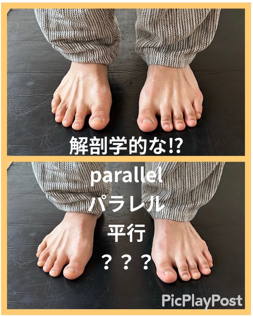 f:id:eigon:20250501220423j:image