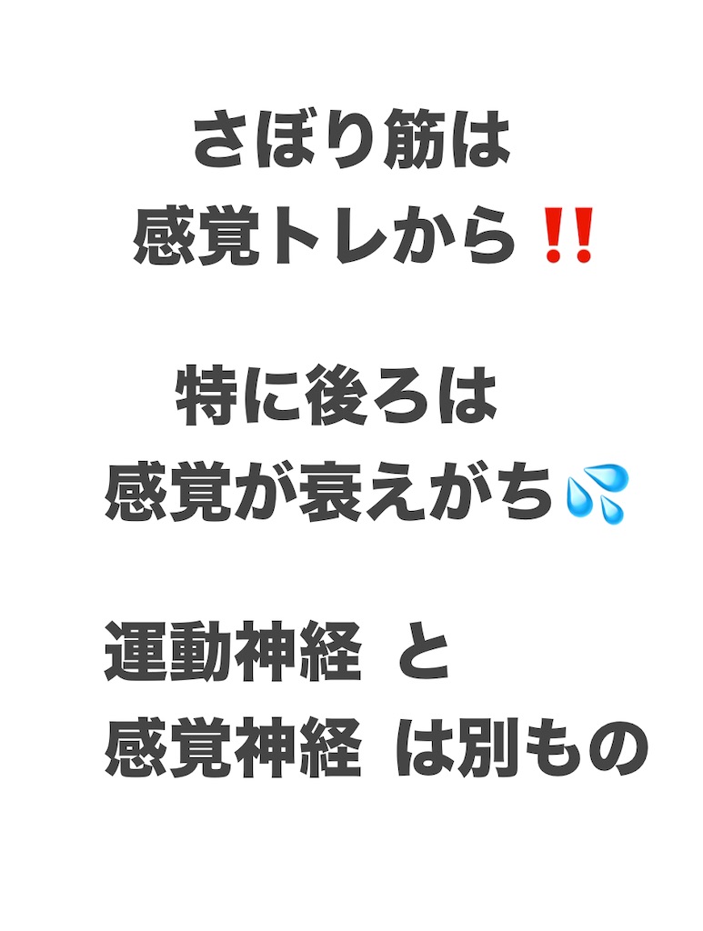 f:id:eigon:20250509122301j:image