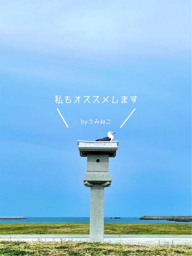 f:id:eigon:20250510195651j:image