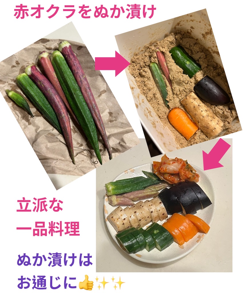 f:id:eigon:20250809190254j:image