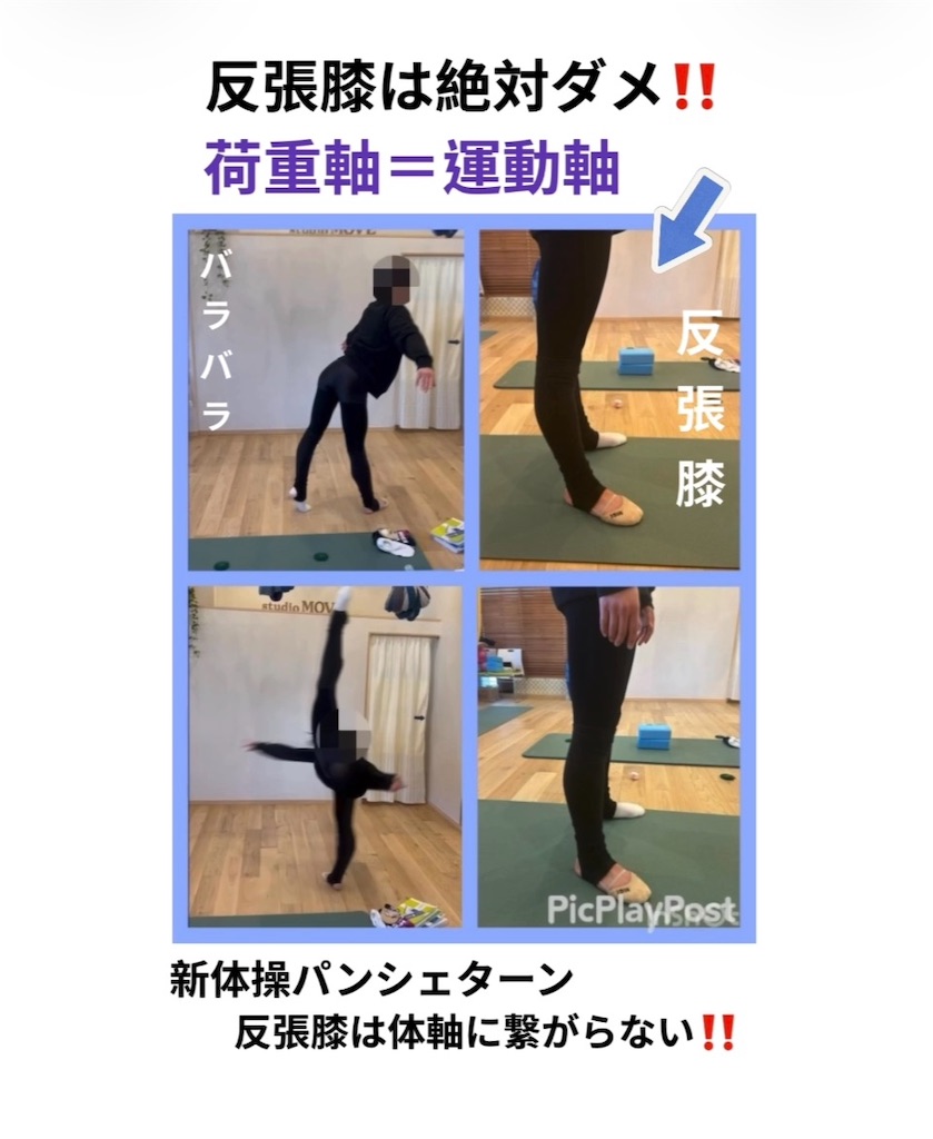 f:id:eigon:20260214092842j:image f:id:eigon:20260214092842j:image