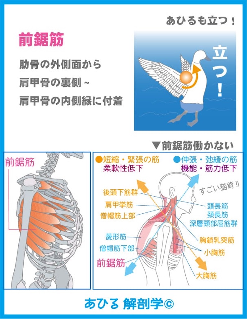 f:id:eigon:20260623201231j:image