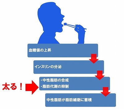 f:id:eigoonline:20180708214855j:plain
