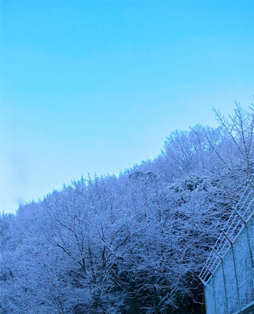 f:id:eiji-bsmith:20110112074126j:image