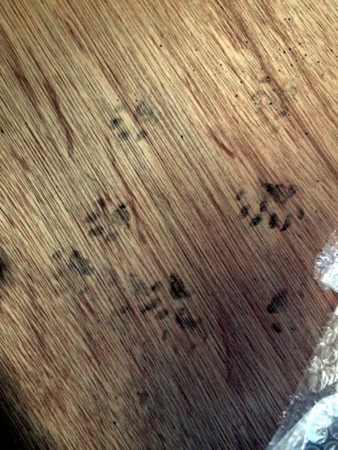 f:id:eiji-bsmith:20120330084612j:image