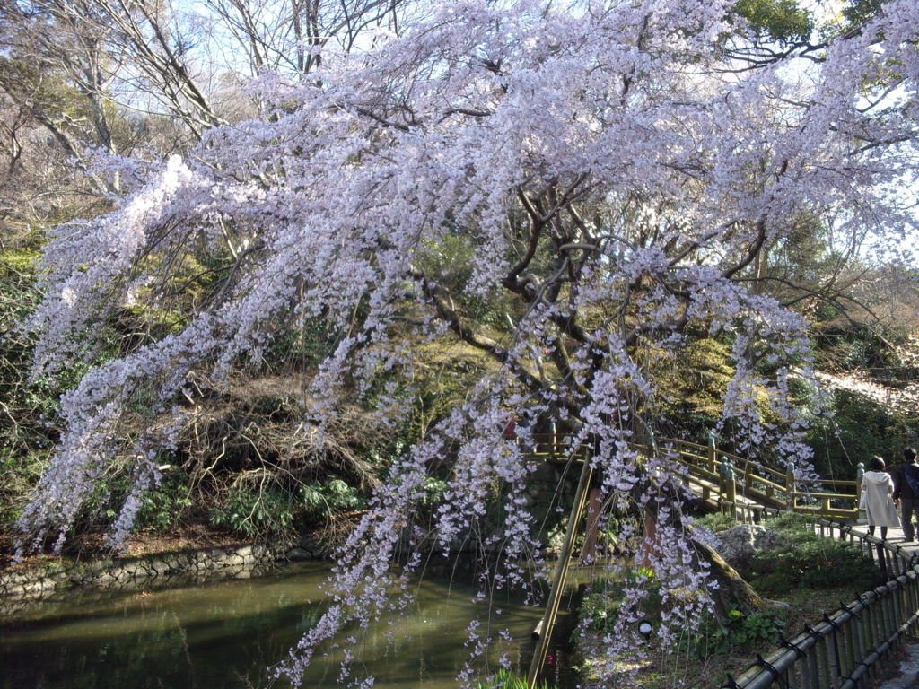 f:id:eiji-chan:20180322213536j:plain