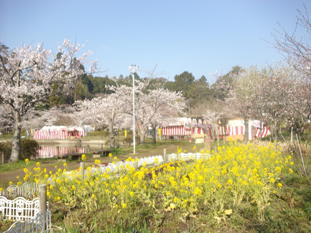 f:id:eiji-chan:20180327204241j:plain f:id:eiji-chan:20180327204241j:plain