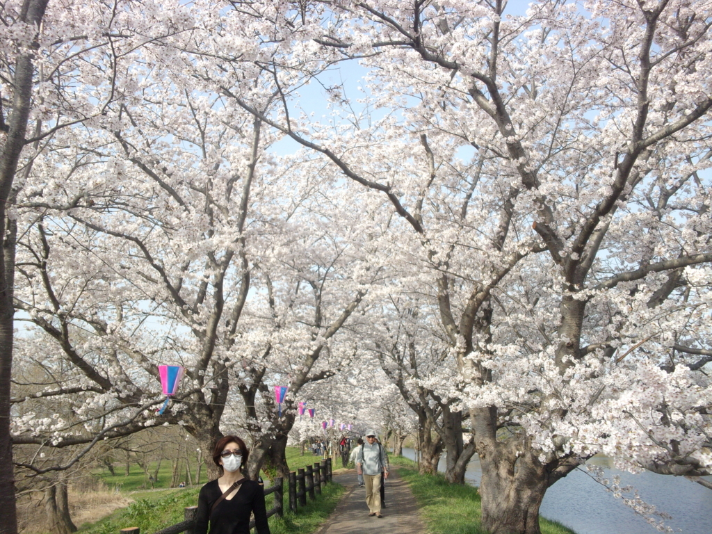 f:id:eiji-chan:20180329202011j:plain