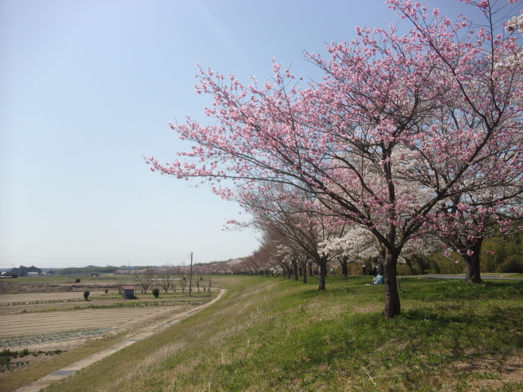 f:id:eiji-chan:20180331194818j:plain