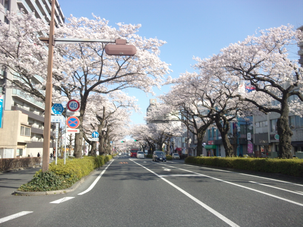 f:id:eiji-chan:20180331202250j:plain