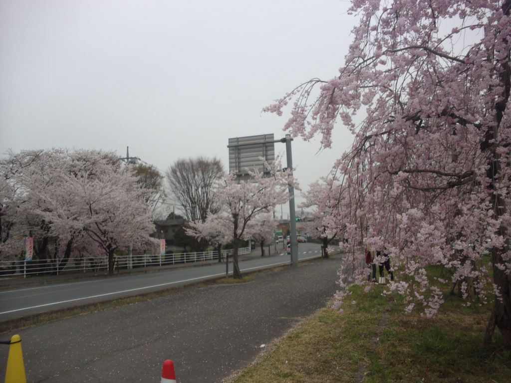 f:id:eiji-chan:20180402131836j:plain f:id:eiji-chan:20180402131836j:plain