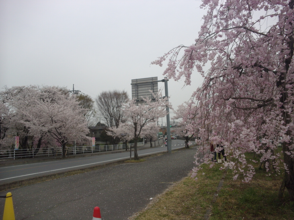 f:id:eiji-chan:20180402131836j:plain