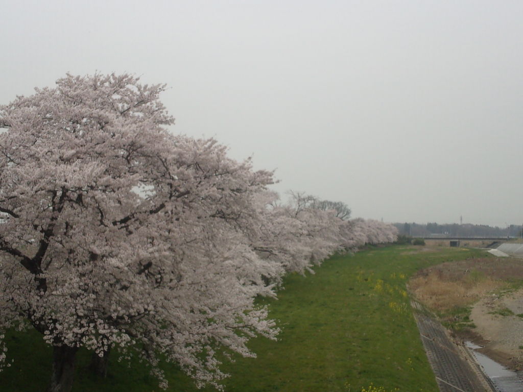 f:id:eiji-chan:20180402131932j:plain