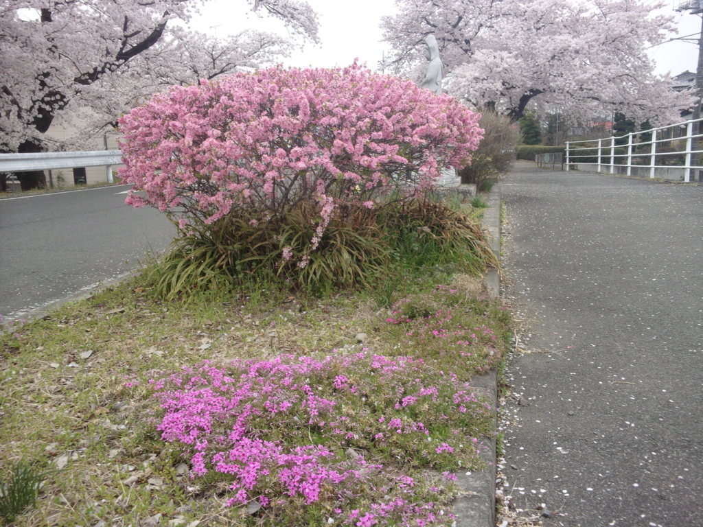 f:id:eiji-chan:20180402132037j:plain