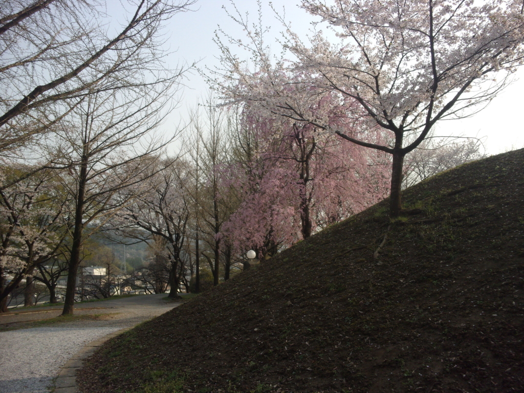 f:id:eiji-chan:20180402202311j:plain