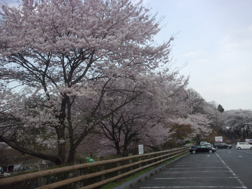 f:id:eiji-chan:20180405091141j:plain