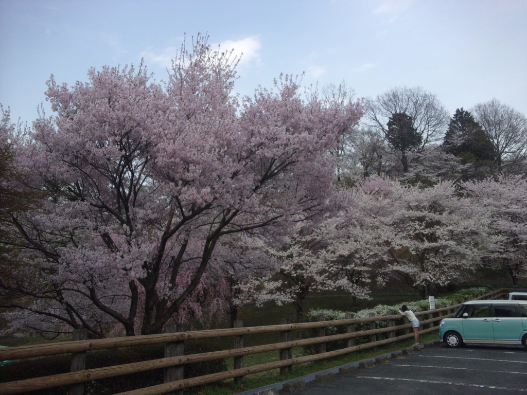 f:id:eiji-chan:20180405091229j:plain