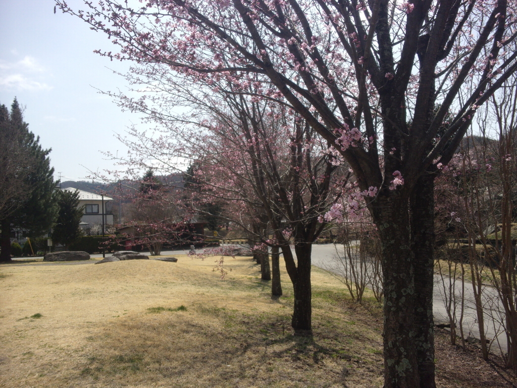 f:id:eiji-chan:20180405132703j:plain