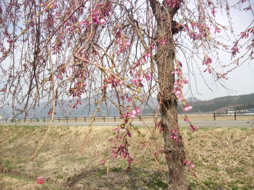 f:id:eiji-chan:20180423191952j:plain