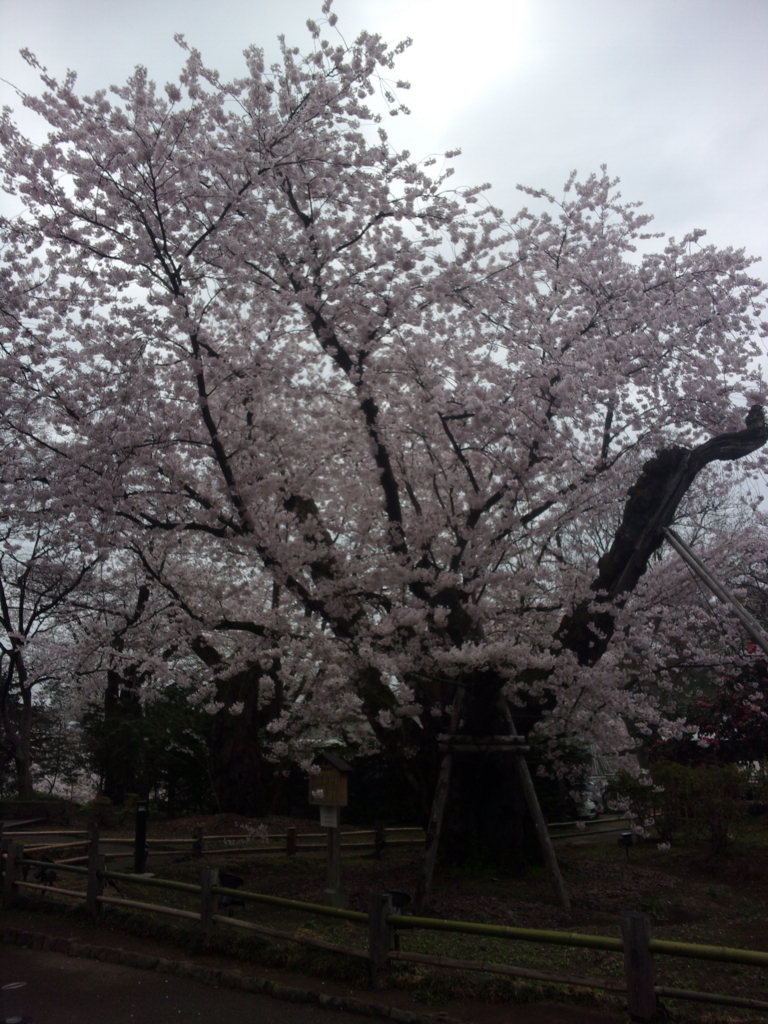 f:id:eiji-chan:20180424173335j:plain