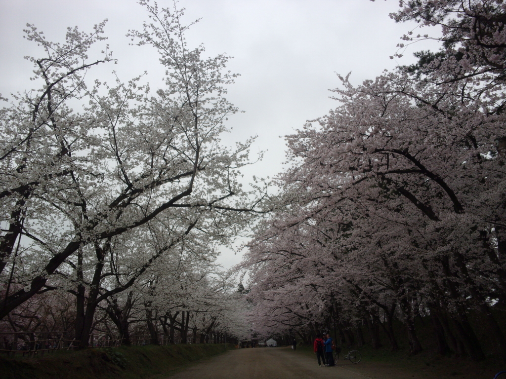 f:id:eiji-chan:20180424174138j:plain