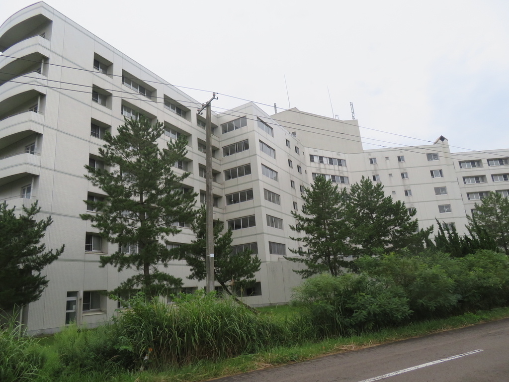 f:id:eiji-chan:20180901074003j:plain