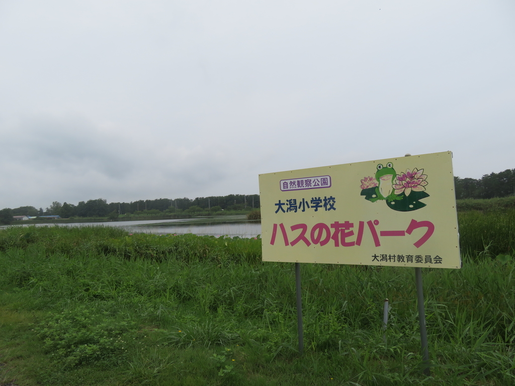 f:id:eiji-chan:20180901083959j:plain
