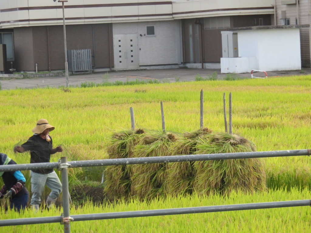 f:id:eiji-chan:20180906204855j:plain