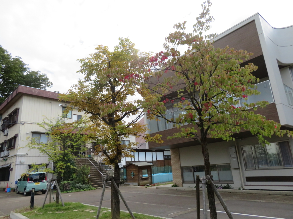 f:id:eiji-chan:20181007105233j:plain