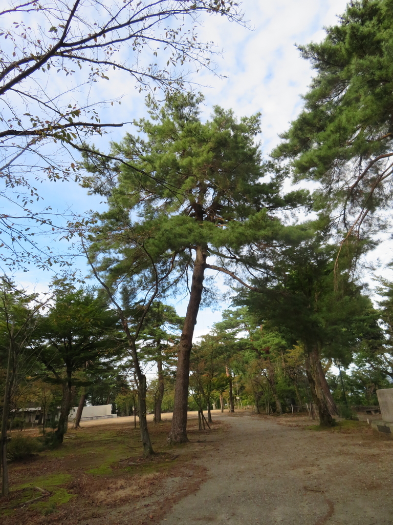 f:id:eiji-chan:20181007110225j:plain