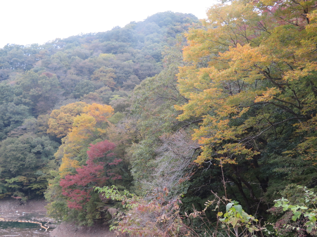 f:id:eiji-chan:20181027192858j:plain
