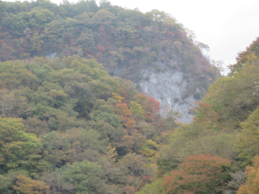 f:id:eiji-chan:20181027193242j:plain