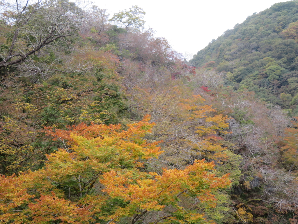 f:id:eiji-chan:20181027193710j:plain