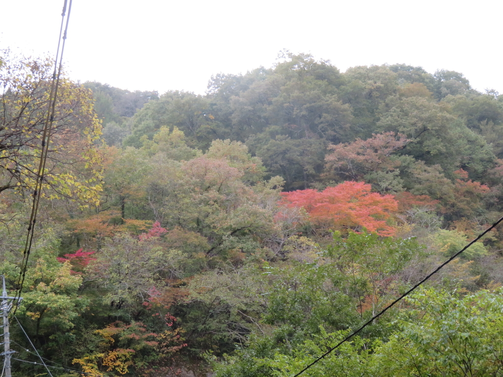 f:id:eiji-chan:20181027193759j:plain