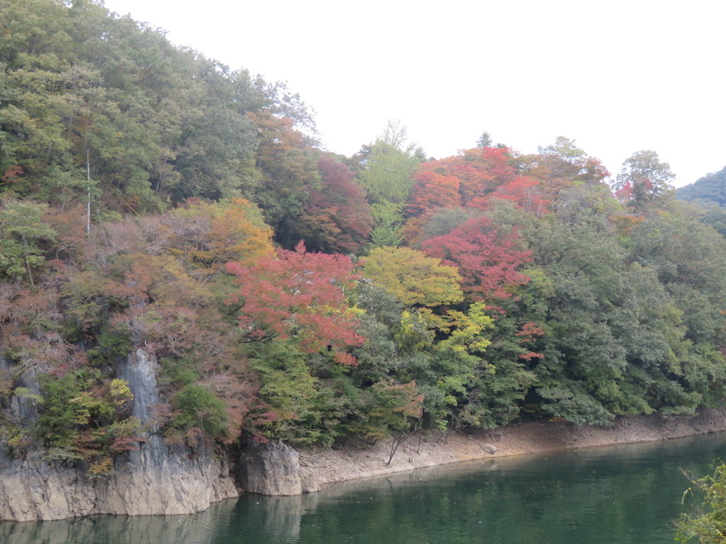f:id:eiji-chan:20181027193850j:plain