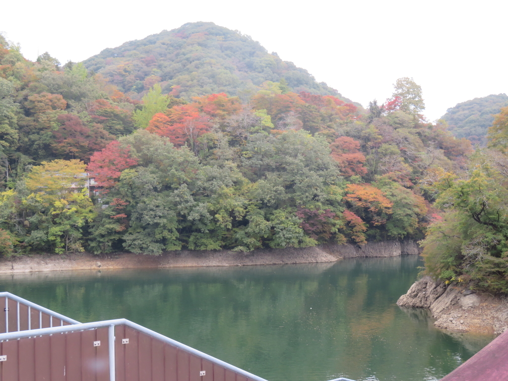 f:id:eiji-chan:20181027194000j:plain
