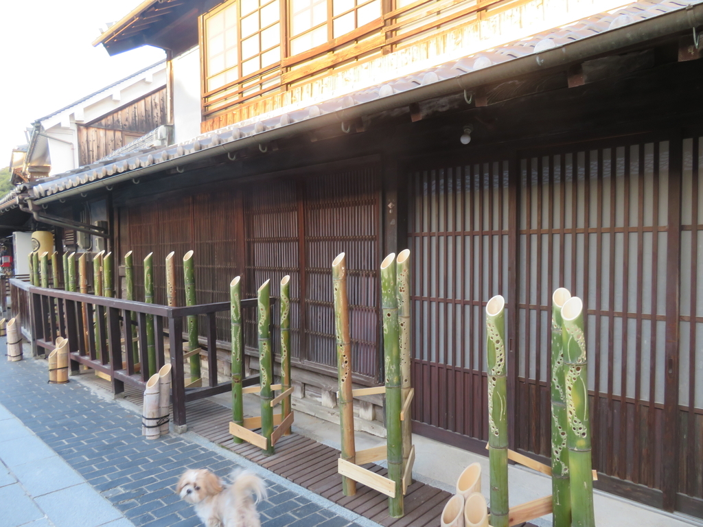 f:id:eiji-chan:20181030114738j:plain