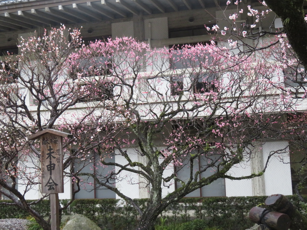 f:id:eiji-chan:20190305171036j:plain