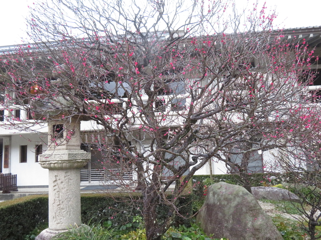f:id:eiji-chan:20190305171155j:plain