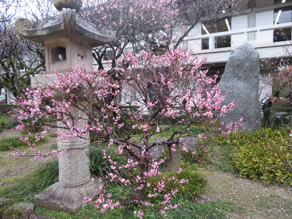 f:id:eiji-chan:20190305171401j:plain